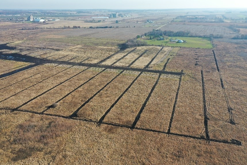 evansville wetland restoration site