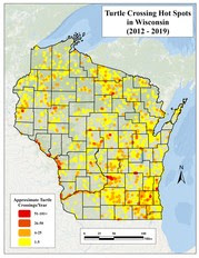 Wisconsin Turtle Conservation Program Turtle Crossing Hot Spot Map