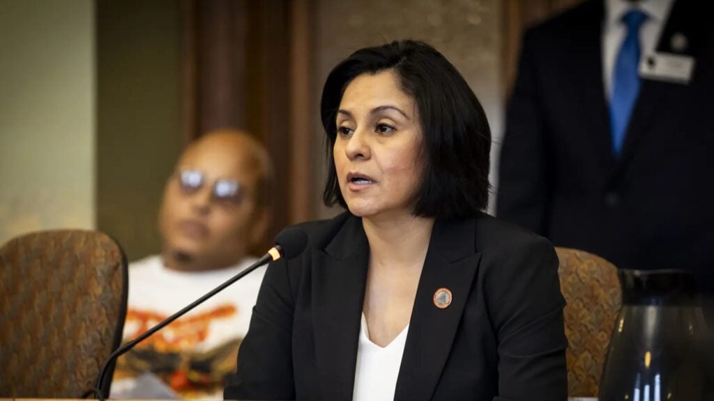 This image depicts Jessie Rodriguez speaking at a hearing in the Wisconsin State Capitol