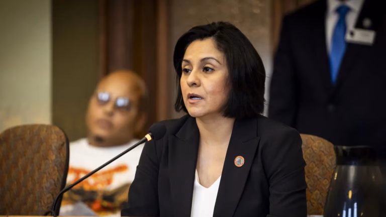 This image depicts Jessie Rodriguez speaking at a hearing in the Wisconsin State Capitol