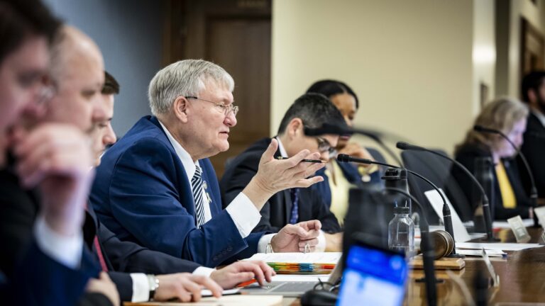 Image of state Sen. Van Wanggaard seated at a table in a Wisconsin State Capitol committee room.
