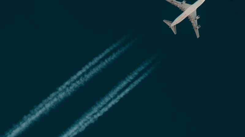 1000003592
