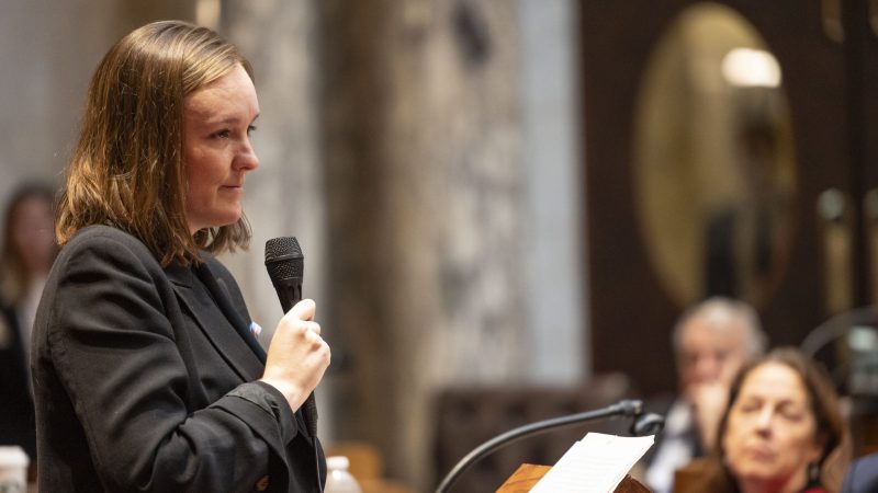Rep. Greta Neubauer, D-Racine, during an October 2023 floor session. Wisconsin Legislature photo.