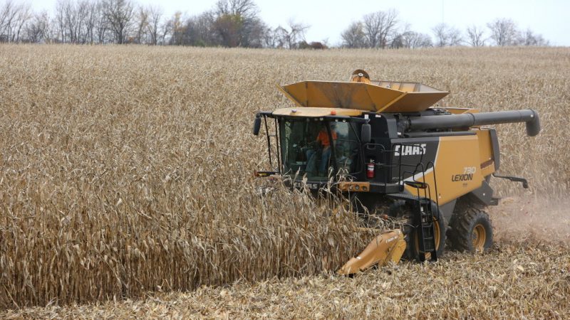 FARM AGRICULTURE