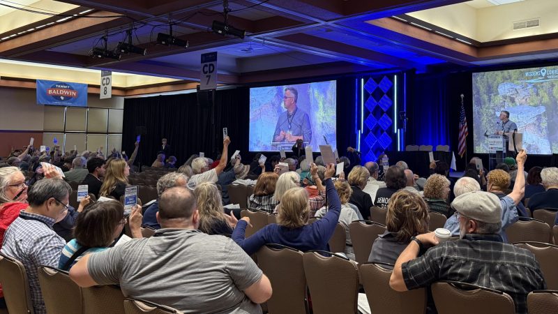 Delegates to the Wisconsin Dem Party state convention vote on resolutions. Photo by Abigail Leavins, June 15, 2025.