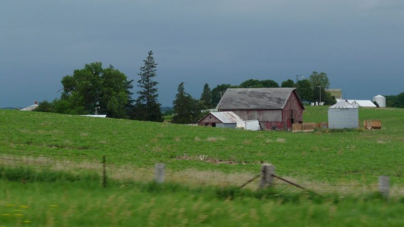Photo by David Wise, June 2010.