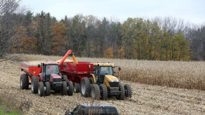 Farming Stock Photo