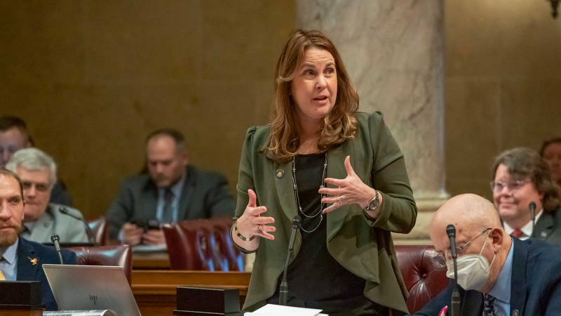 Senate Minority Leader Dianne Hesselbein, D-Middleton. Photo source: legis.wisconsin.gov