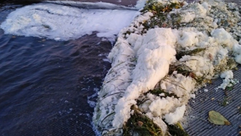 PFAS foam observed by Department of Natural Resources staff on Starkweather Creek, Madison. Photo by Wisconsin DNR.