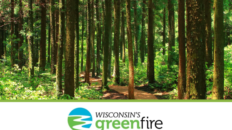 Report Details Threats To State Forestry Industries 20241210 172247 0000
