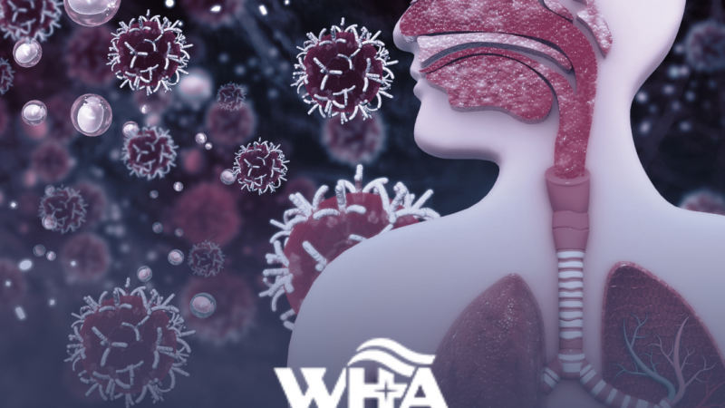 Wisconsin Hospitals Making Progress In Reducing Infection Rates, WHA Report 20240909 151419 0000