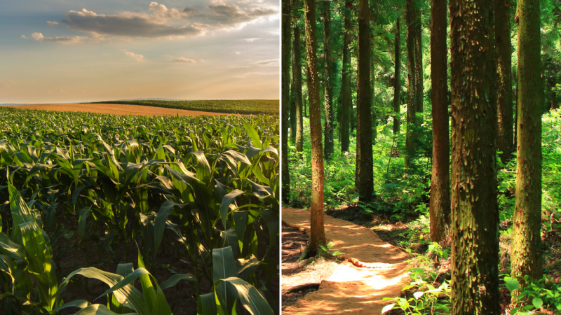 Ag, Forestry 012225.2