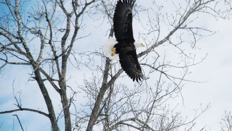 Dept. of Natural Resources: OutWiGo to Sauk Prairie for the 36th Annual
