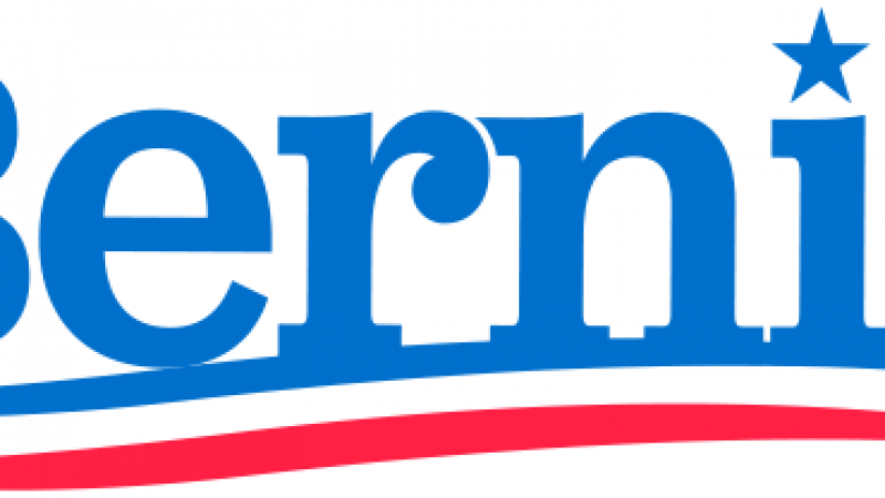 plainbernie-logo